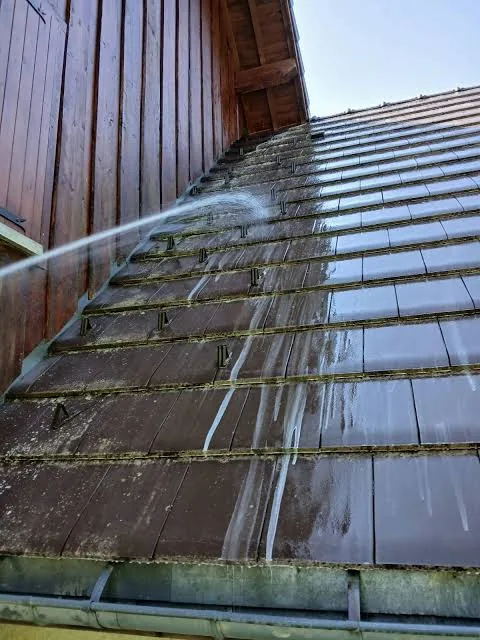 Détail d'un démoussage de toiture Clear Up